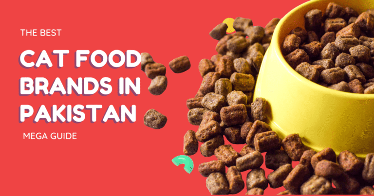 Best Cat Food Brands Available in Pakistan (2025 Mega Guide)