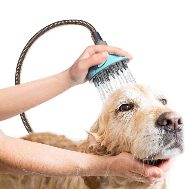Dele Pet Shower Kit - Image 2