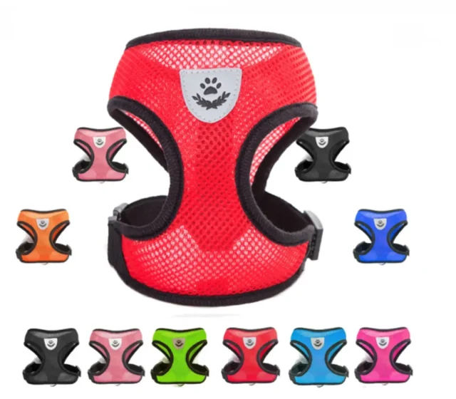 AirMesh Breathable Cat Harness with Leash