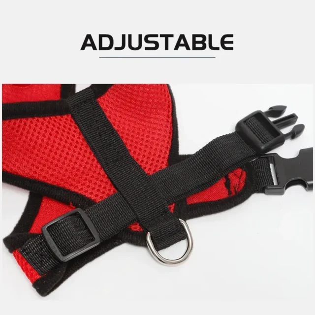 AirMesh Breathable Cat Harness with Leash - Image 5