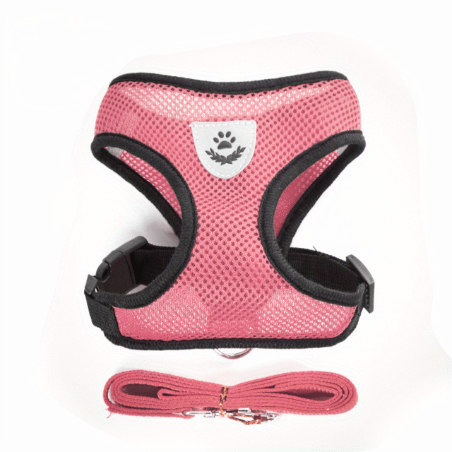 AirMesh Breathable Cat Harness with Leash - Image 8
