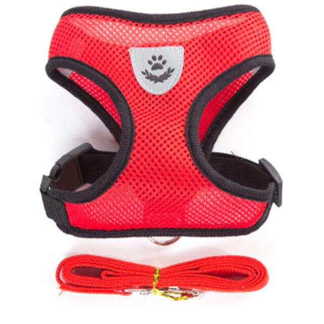 AirMesh Breathable Cat Harness with Leash - Image 7