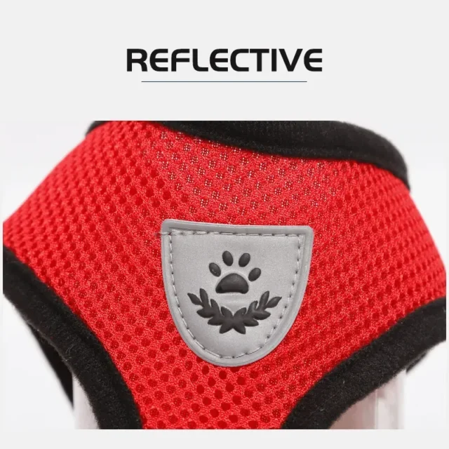 AirMesh Breathable Cat Harness with Leash - Image 3