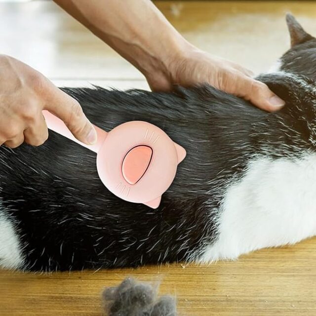 Button Self Cleaning Brush for Cats - Image 2