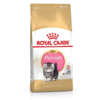 royal canin persian kitten dry food