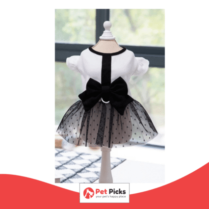 Midnight Bow Cat Dress