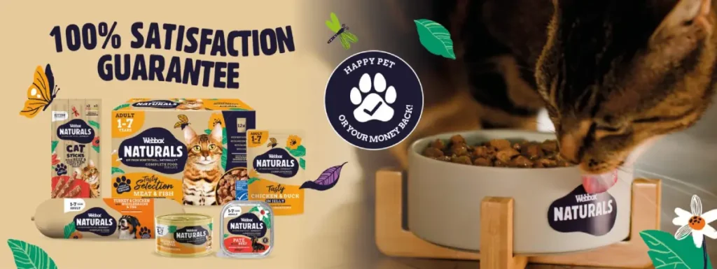 webbox cat food, treats, jelly food