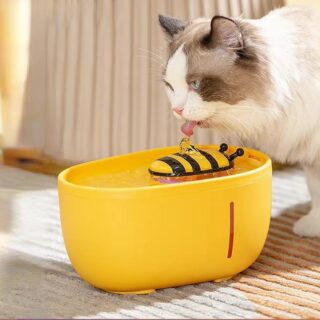 Honey bee water fountain for cats