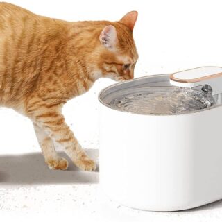 Premium Automatic Water Fountain for Cats