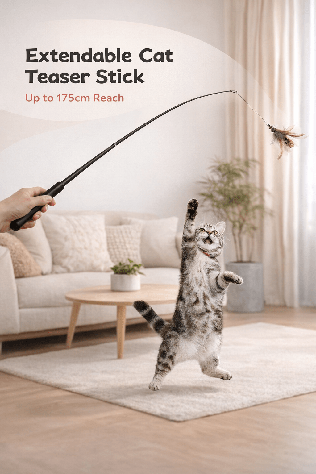cat teaser stick long extendable