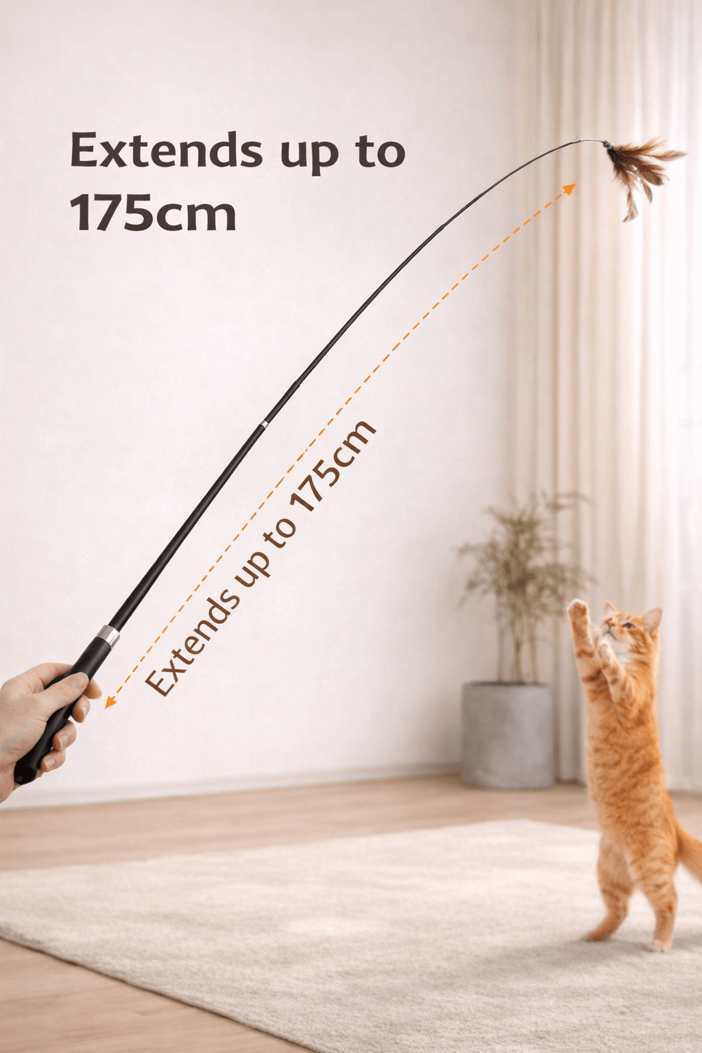cat teaser stick long extendable