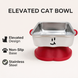 elevated cat bowl