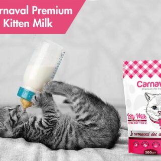 Carnaval Kitty Milk - Kitten Milk Replacer 200g