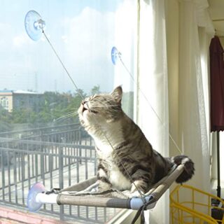 cat hammock