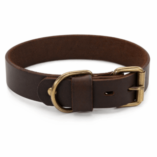 dog original leather collar