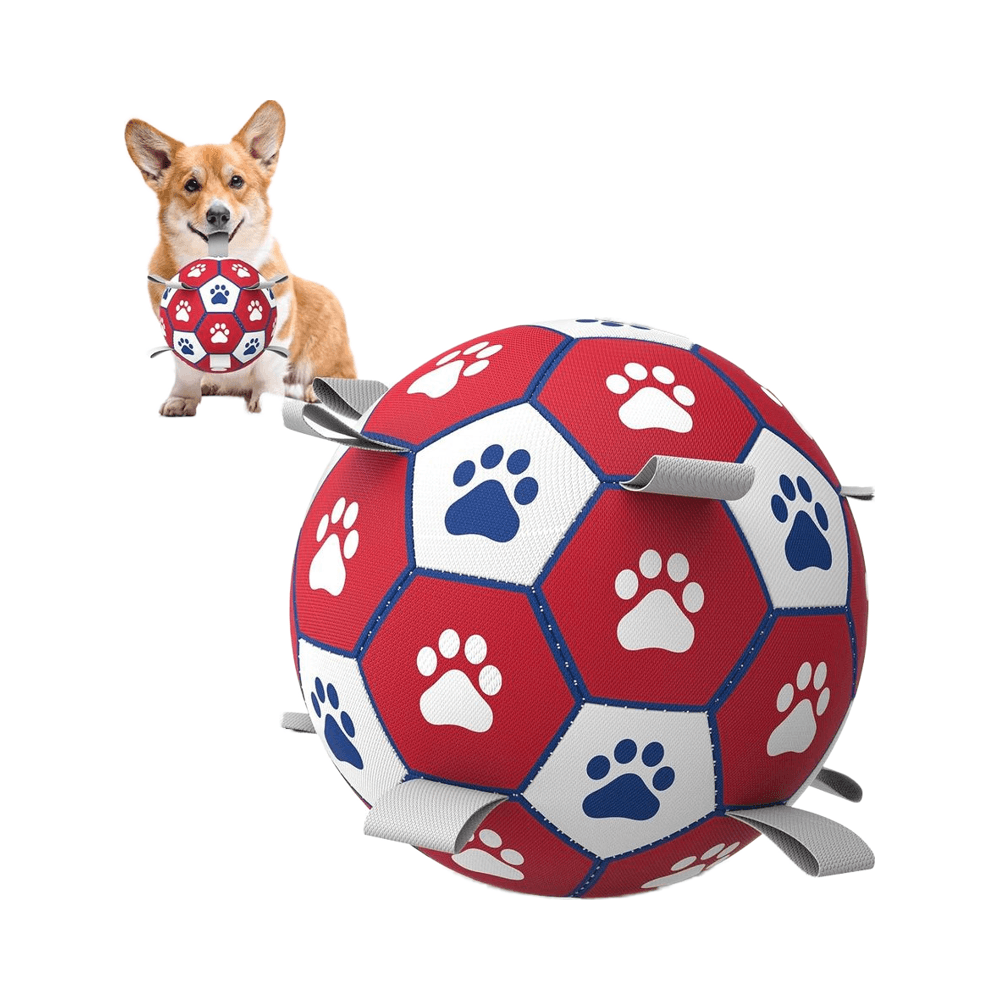 dog toy ball football