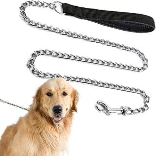 Heavy chain leash for dogs