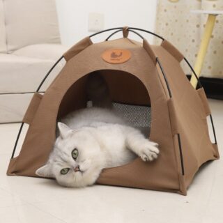 Cat tent house