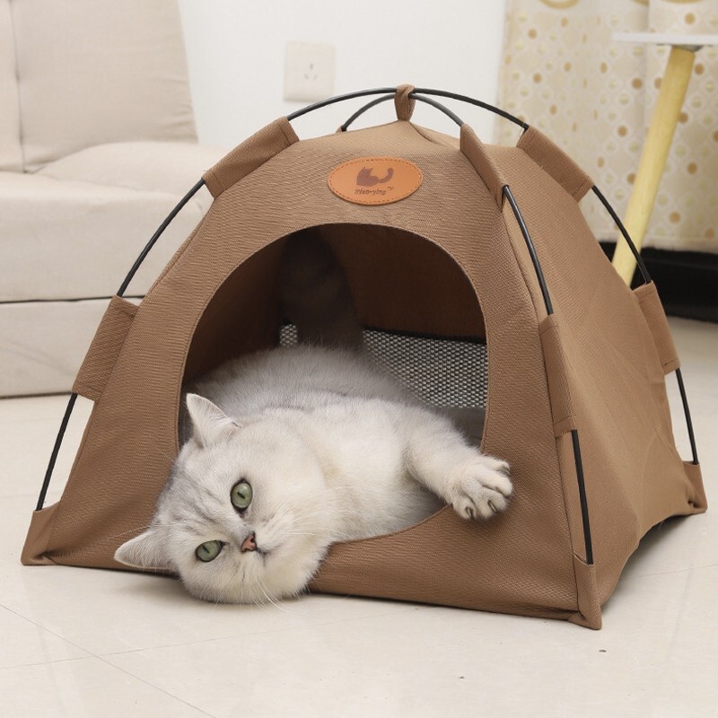 Cat tent house