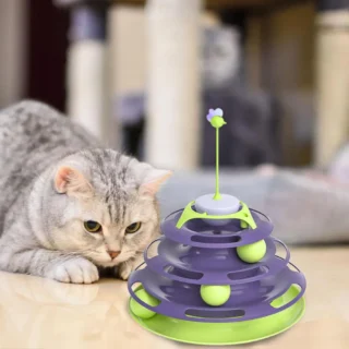 cat track toy