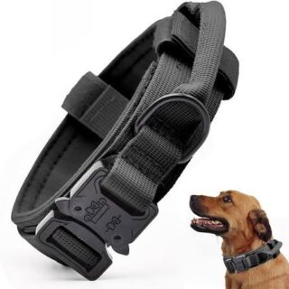 Military-Style Premium Tactical Dog Collar (Large)