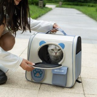 cat travel bag