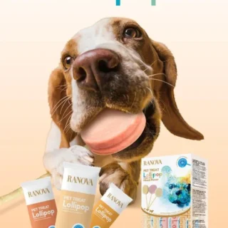 ranova dog lollipop treat