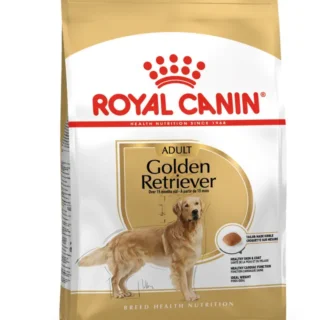 royal canin golden retriever dog food